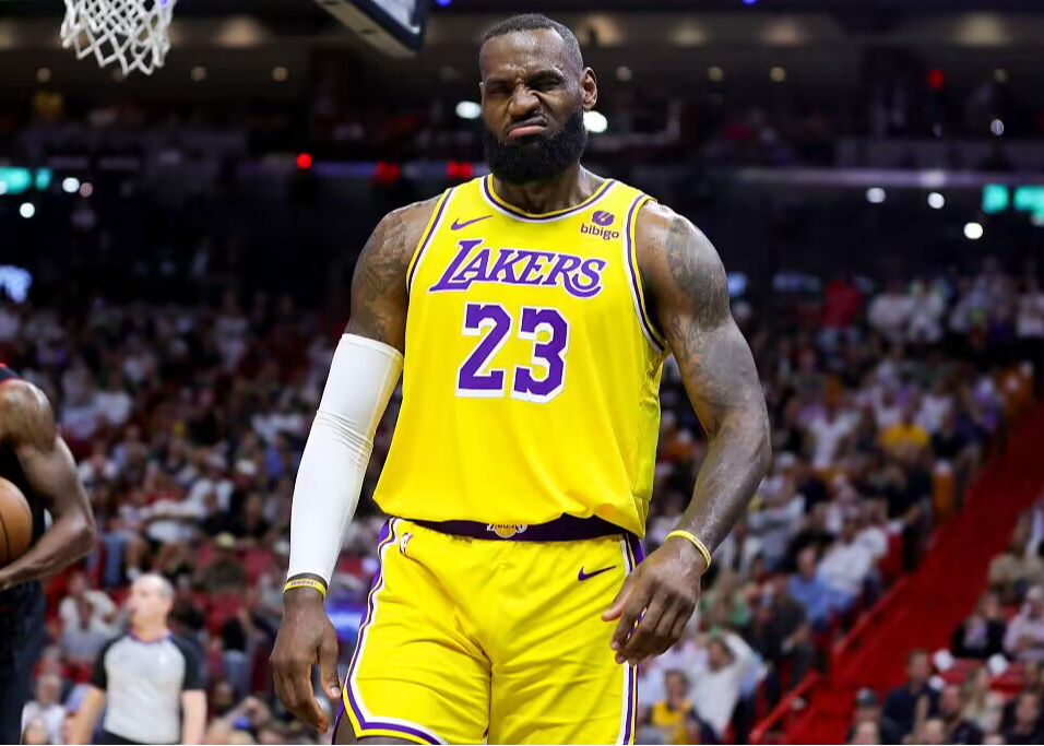 习惯, 是大多数人 习惯, 是大多数人